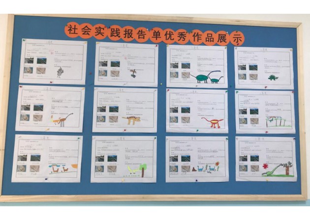 小学部“发现生命起源之旅”社会实践报告优秀作品展示