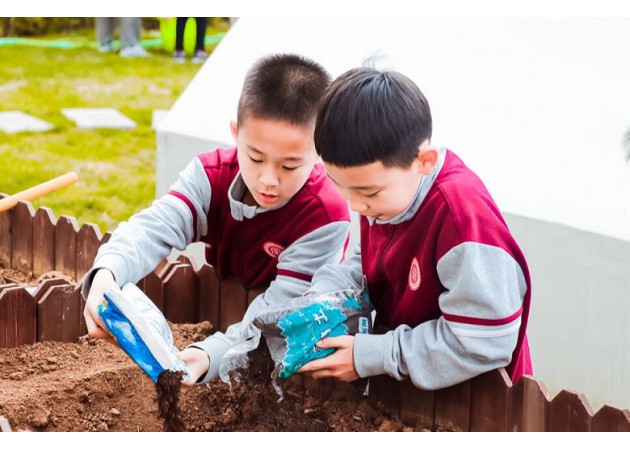 “小小种植园”活动启动仪式